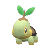 Buy Turtwig